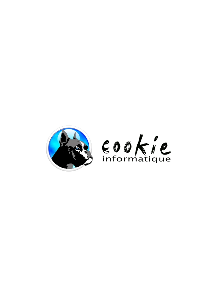 cookie informatique saint-nazaire